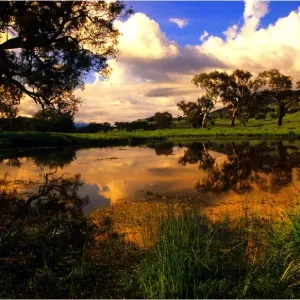 A billabong near the Murray river at Corryong, Northern Victoria A billabong near the Murray river at Corryong, Northern Victoria