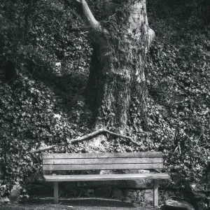 Black and white bench Black and white bench