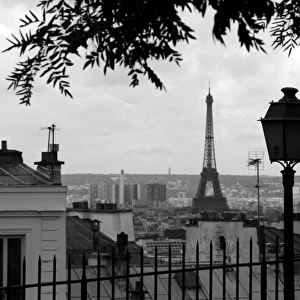 Black and White Paris