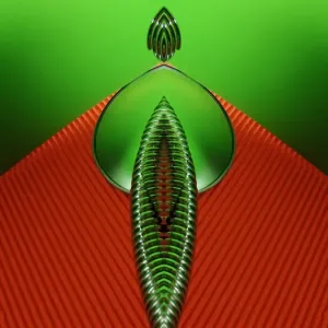 Espacios en blanco, círculo verde, sobre naranja, abstracto.