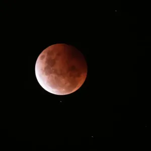 Images Dated 2021 May: 27 May 2021