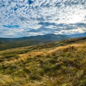 Blue lake track in kosciuszko national park