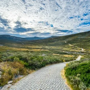 Blue lake track in kosciuszko national park