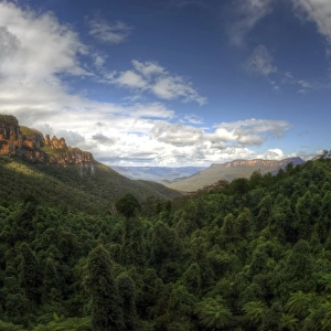 Blue Mountains rainforest and three sisters rock