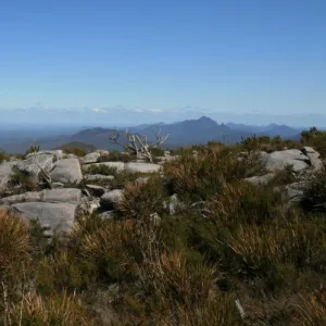 Bluff Knoll Summit