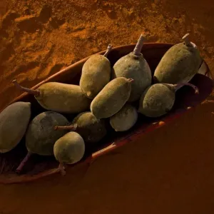 Boab Pods, Coolamon, Red earth Boab Pods, Coolamon, Red earth