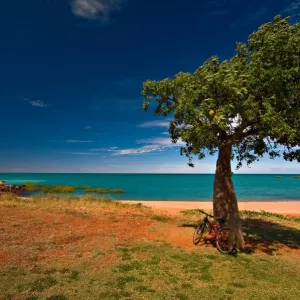 Boab tree and Bike, Town Beach Broome WA Boab tree and Bike, Town Beach Broome WA