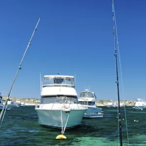 Boats and fishing rods Boats and fishing rods