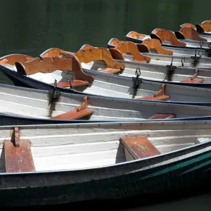 Australian Boats Print