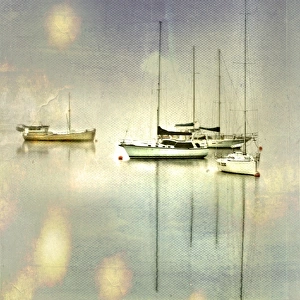 Boats in the Morning