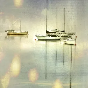Boats in the Morning