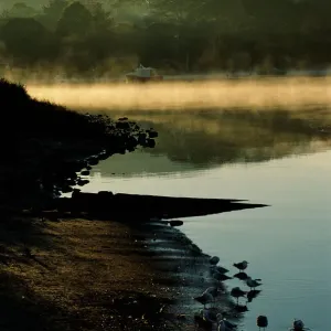 Boats in Morning Mist in Strahan, Tasmania, Australia Boats in Morning Mist in Strahan, Tasmania, Australia