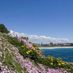 Bondi Beach Bondi Beach