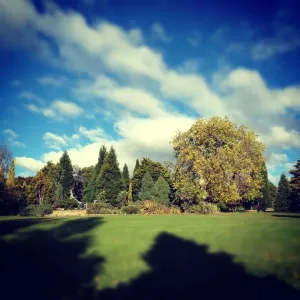 Botanical gardens Botanical gardens