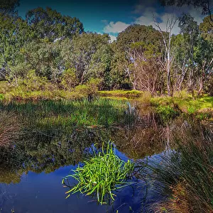 Braeside park, Mordialloc, Victoria, Australia