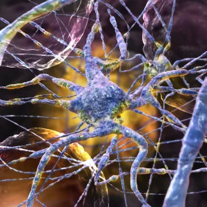 Brain Cells Microscopic Print