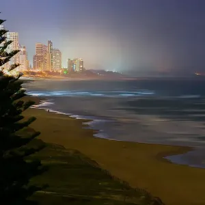 The bright lights of the Gold Coast The bright lights of the Gold Coast