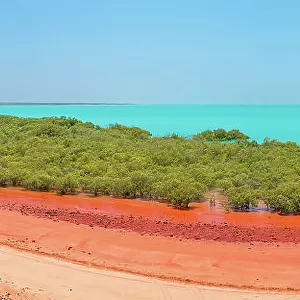 Broome Mangroves Foreshore