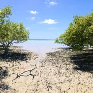 Broome Mudflats
