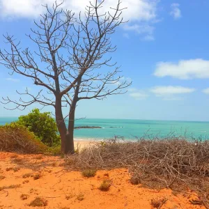 Broome Scene