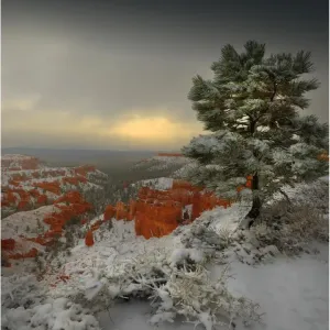 Images Dated 2011 October: 27 Oct 2011