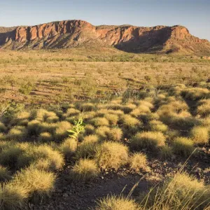 Bungle Bungle Range seen from Kungkalahayi Lookout, Purnululu National Park, Kimberley Bungle Bungle Range seen from Kungkalahayi Lookout, Purnululu National Park, Kimberley