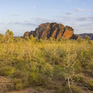 Bungle Bungles, beehive-shaped sandstone towers, Purnululu National Park, UNESCO World Heritage Site, Eastern Kimberleys, Western Australia Bungle Bungles, beehive-shaped sandstone towers, Purnululu National Park, UNESCO World Heritage Site, Eastern Kimberleys, Western Australia