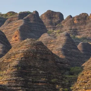 Bungle Bungles, beehive-shaped sandstone towers, Purnululu National Park, UNESCO World Heritage Site, Eastern Kimberleys, Western Australia Bungle Bungles, beehive-shaped sandstone towers, Purnululu National Park, UNESCO World Heritage Site, Eastern Kimberleys, Western Australia