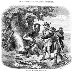 Burke and Wills expedition