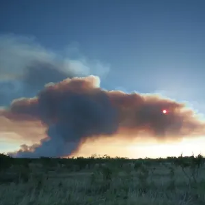 Bush Fire, Northern Territory, Australia Bush Fire, Northern Territory, Australia
