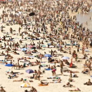 Busy Bondi Busy Bondi