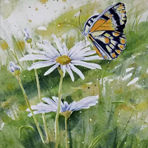 Butterfly Resting on a White Daisy Flower Watercolor Painting