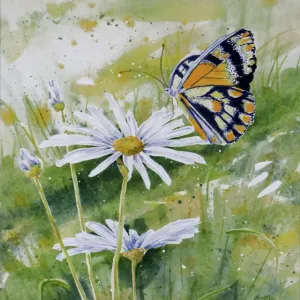 Butterfly Print on White Daisy Watercolor Butterfly Print on White Daisy Watercolor