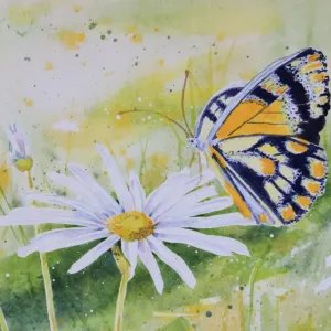 Detail of Butterfly Resting on a White Daisy Flower Watercolor Painting Detail of Butterfly Resting on a White Daisy Flower Watercolor Painting