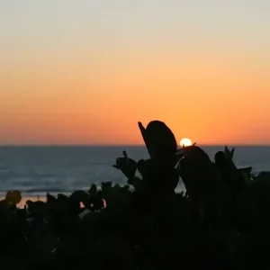 Cable Beach Sunset