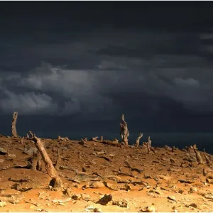 Images Dated 2012 July: 27 Jul 2012