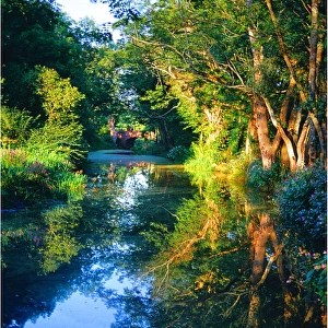 Canal view near Ifold, Sussex, England