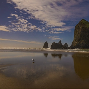 Cannon beach, Oregon coastline, United States