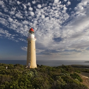 The Cape du Couedic lighthouse Kangaroo Island