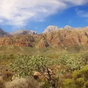 Cape Fold Mountains Cape Fold Mountains