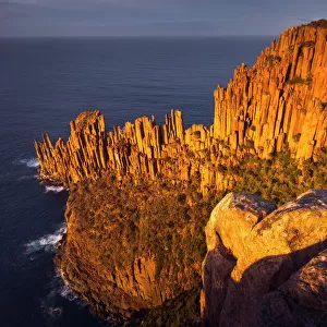 Cape Raoul`s sea cliffs of Dolerite at sunrise, Tasman National Park, Tasmania, Australia