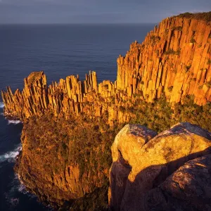 Cape Raoul, Tasmania