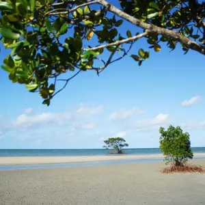Cape Tribulation beach, Australia Cape Tribulation beach, Australia