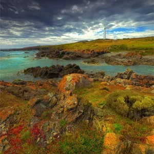 Cape Wickham in late springtime with wildflowers blooming, north coastline of King Island Cape Wickham in late springtime with wildflowers blooming, north coastline of King Island