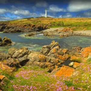 Cape Wickham Spring blooms Cape Wickham Spring blooms