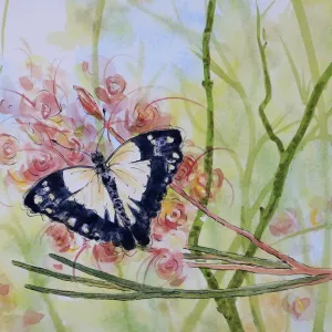 Caper White Butterfly Resting on a Grevillea Flower Watercolor Painting Caper White Butterfly Resting on a Grevillea Flower Watercolor Painting