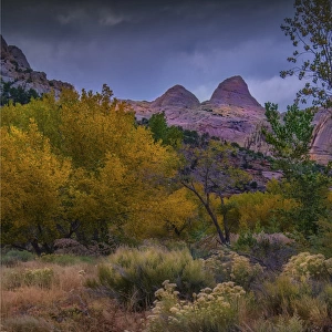 Capital Reef, late autumn colours, Utah, south west United States