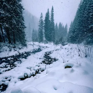 Carpathian Mountains