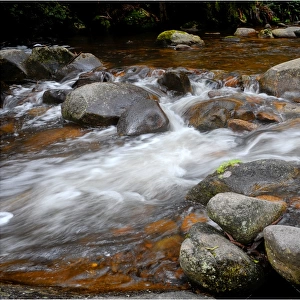 Cascading water in a small stream, Otway ranges, Victoria, Australia
