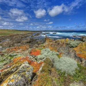 Cataraqui wreck site